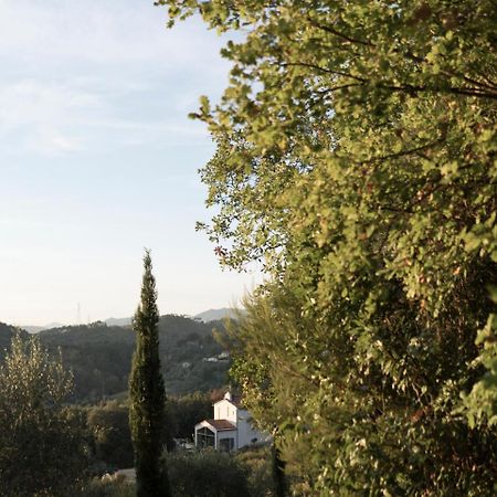 B&B La Fustaia Sarzana Exteriér fotografie